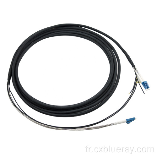 DLC-DLC Armored Patchcord IP67 Connecteur imperméable